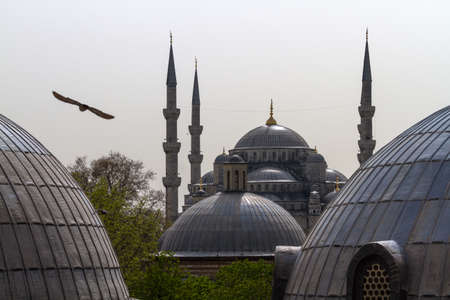 Istanbul, the Aya-Sofia mosque, a view of the domes from inside the mosque.のeditorial素材