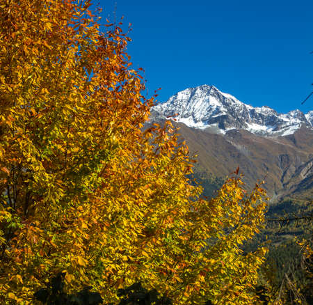 Svann towers in the  svann village against the backdrop of snowy mountains. Georgia Mountain Svaneti, Mestia.の写真素材