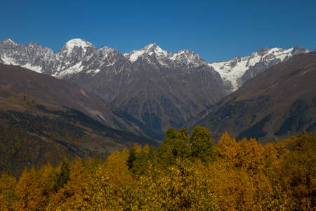 Humped peak of Mount Ushba, Georgia. Down in the early autumn, warmth and trees in the autumn crimson foliage. The peak and the mountain chain are in the snow.の写真素材