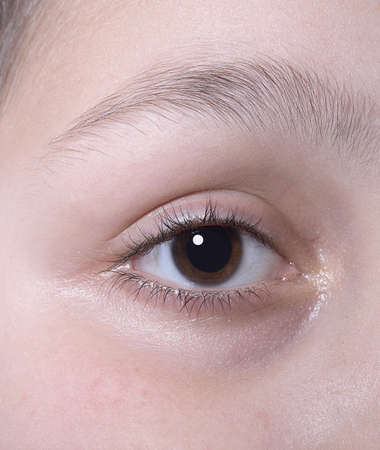 human eye close-up anatomyの写真素材