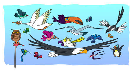 God created all the flying creatures on the fifth day of the creation of the worldの写真素材