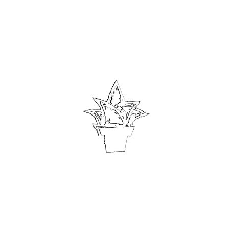 Aloe vera plant icons logo symbol illustration silhouette black and white illustrationの写真素材
