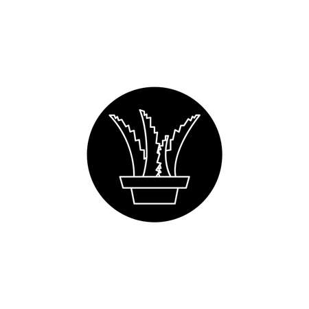 Aloe vera plants icon symbol logo silhouette black and whiteの写真素材