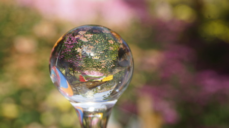 garden in glassの写真素材