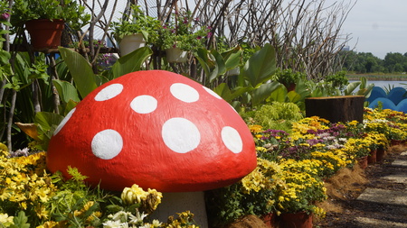 garden with big  rad mushroomの写真素材