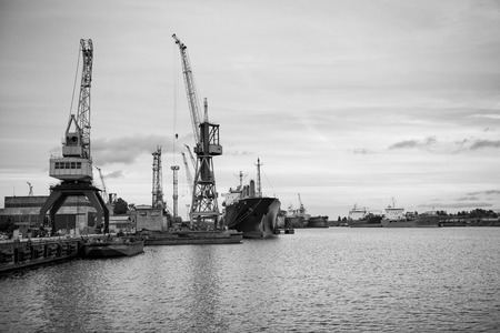 Ship and port cranes at repair area.の写真素材