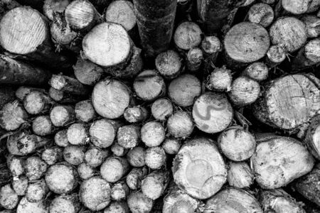 Wood log pile.
