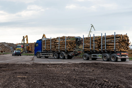 Log truck waiting list for unloading.の写真素材