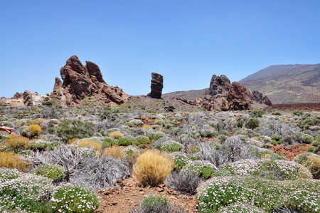 View of the famous Pico del Teide mountain with Roque Cinchado, Tenerife, Canary Islands, Spainの写真素材