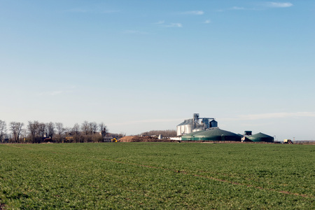 Behind the field visible farm with dry food storage.
