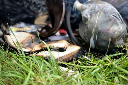 In the grass lying fire damaged things and books.の写真素材