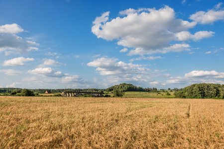 Bridge to nowhere. Unfinished and abandoned road overpass bridge.の写真素材