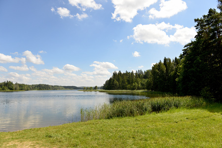 Lake surrounded by forest on a sunny day.の写真素材