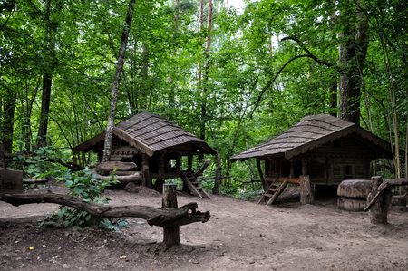 Dwarfs fairy houses in the mysterious woods.の写真素材