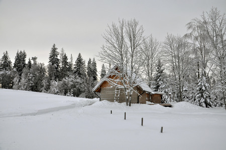 Winter landscape. Sauna at edge of the forest.の写真素材