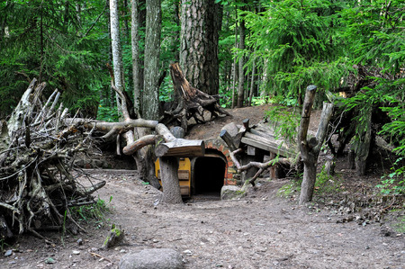 Dwarfs fairy houses in the mysterious woods.の写真素材