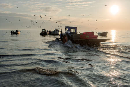 Fishermen return from the morning fishing and land the fish.の写真素材