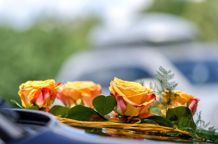 Close-up photography. Wedding car decoration of yellow roses.の写真素材