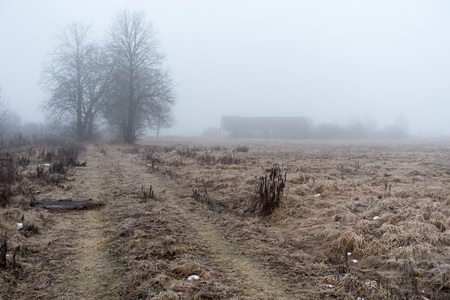 Abandoned farmhouse and the road in the morning mist.の写真素材