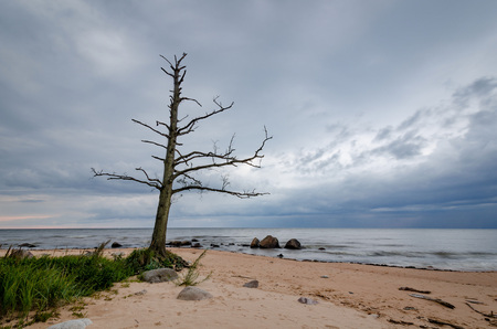 Seascape. Storm clouds gathering over the rocky beach.の写真素材