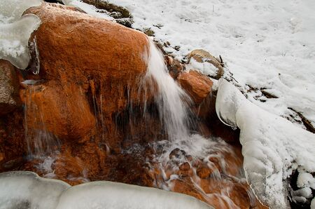 Nature close-up photography. Red sources in winter.の写真素材