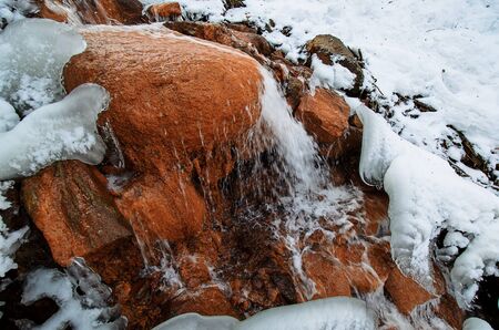 Nature close-up photography. Red sources in winter.の写真素材