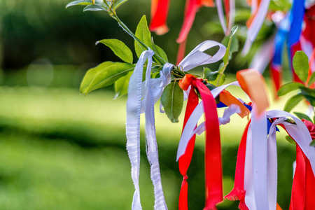A wish tree. The ribbons of different colors are tied in the branches. Each colored ribbon means different wishes.の写真素材