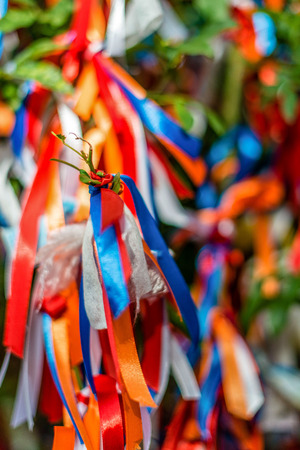 A wish tree. The ribbons of different colors are tied in the branches. Each colored ribbon means different wishes.の写真素材