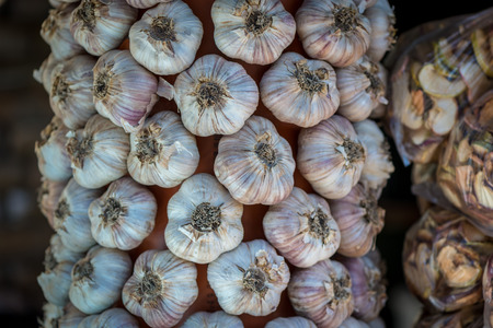 White and purple garlic pile texture. Fresh garlic on market table closeup photo. Vitamin healthy food spice image. Spicy cooking ingredient picture. Pile of white and purple garlic heads.の写真素材