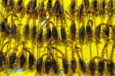 The scorpions as food are on the street in Beijing, Chinaの写真素材