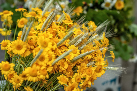 Yellow flower and wheat crop bouquet. Close-up photograph.の写真素材