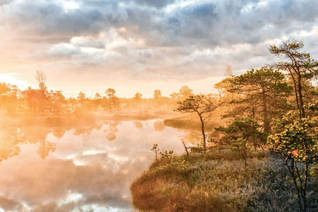 Kemeri. Latvia. Sunrise in the Kemeri bog in the cold autumn morning.の写真素材