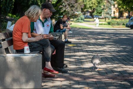 RIGA, LATVIA - JULY 31, 2018: A couple of older people sitting in the city park on a bench and feeding the gull.のeditorial素材