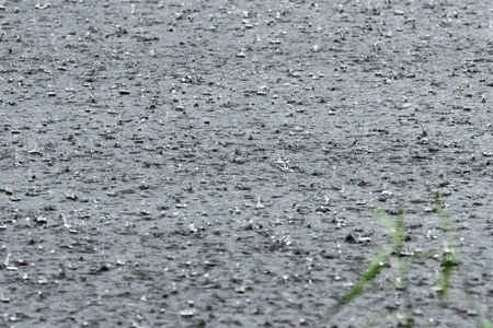 Rain falls to the surface of the lake.の写真素材