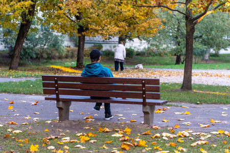 Back view of man on a bench, lonely man in a park.のeditorial素材