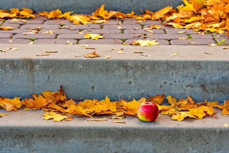 Autumn leaf fall. Yellow leaves and lonely apple on the stone steps.Autumn concept.の写真素材