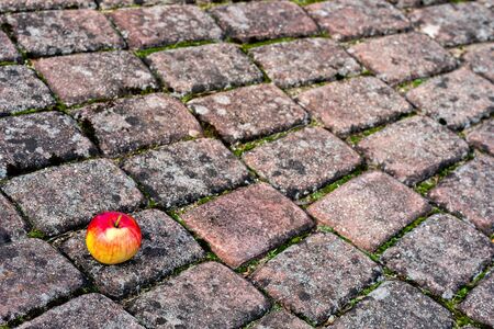 Footpath brick blocks with red apple, the beautiful pathway  in the public park in the morning.の写真素材