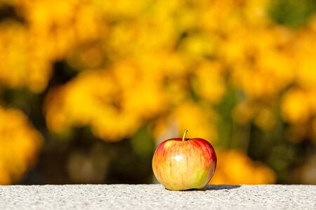 Lonely apple with shadow on a sunny day on the granite curbs. Selective focus. Blurred background.