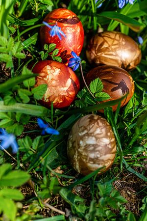 Multicolored easter eggs in green grass. Easter concept - imageの写真素材