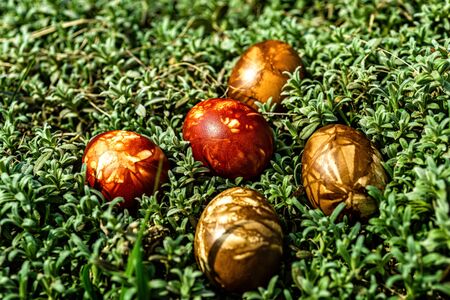 Multicolored easter eggs in green grass. Easter concept - image