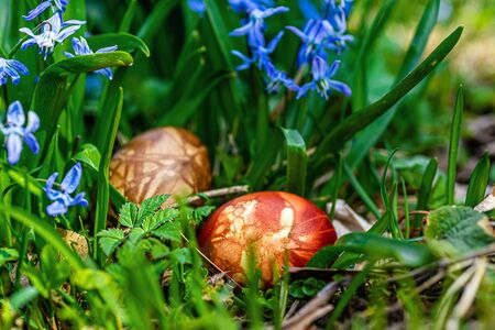Multicolored easter eggs in green grass. Easter concept - image
