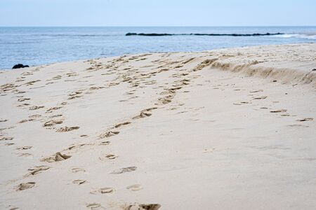 footprints in the sand, Footsteps on the ocean shore