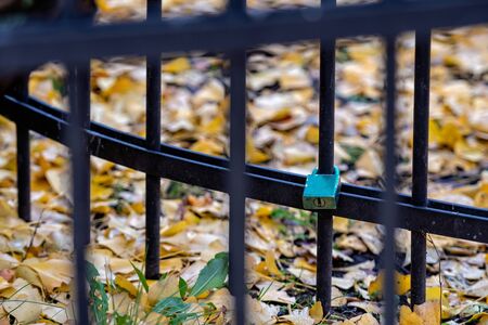 metal fence with a padlock on a background of autumn leavesの写真素材