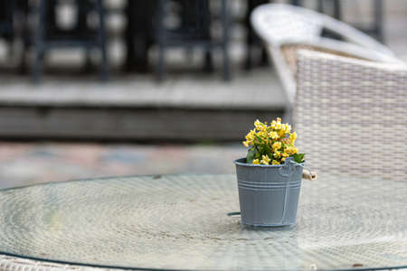 small flower pot on the street cafe table, minimalist style, defocused backgroundの写真素材