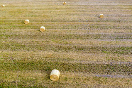 top view of hay bales, agriculture field after harvest with hay rollsの写真素材