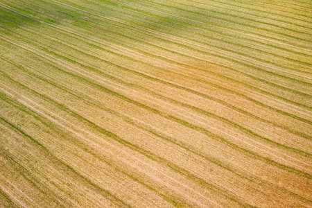 cultivated agricultural field With stripes and waves, abstract landscape pattern, copy space