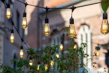 decorative light bulbs isolated on defocused background, close-up