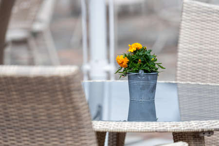close-up of empty table outside restaurant, cafe on street sidewalk, flowers bouquet in flowerpotの写真素材
