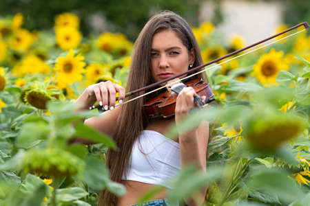 young slim brunette with long hair standing in sunflower field and playing violinの写真素材