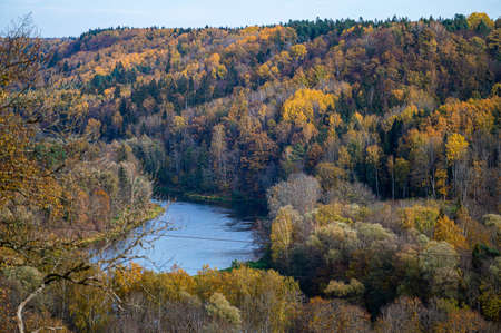 view from above on the river Gauja, which meanders through the autumn forest, Sigulda, Latvia